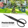 Stainless Steel Bonsai Tool Cutter Branch Cutting Garden Shear Potted