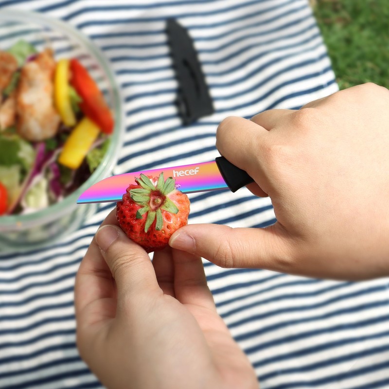 hecef Reusable Stainless Steel Travel Cutlery Set with Case –