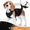 Jolifield No Pull Dog Harness with Leash Set for Medium