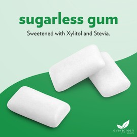Evergreen Sweets Chewing gum -100 Pieces Jar - Natural Spearmint Gum Made with Xylitol and Stevia - Sugar-Free, Aspartame Free and Vegan