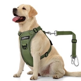 VavoPaw Dog Seat Belt Harness for Car, Dog Car Harness Adjustable Mesh Breathable & Dogs Seatbelt Safety Tether with Elastic Bungee for Small Medium Large Pets(Army Green, XL)