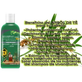 Shampoo Árbol De Té Con Miel Détox 500ml Vivonatural  3h                                                                                              
