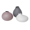 Blomus Vase-65971 Vase, Micro Chip, One Size