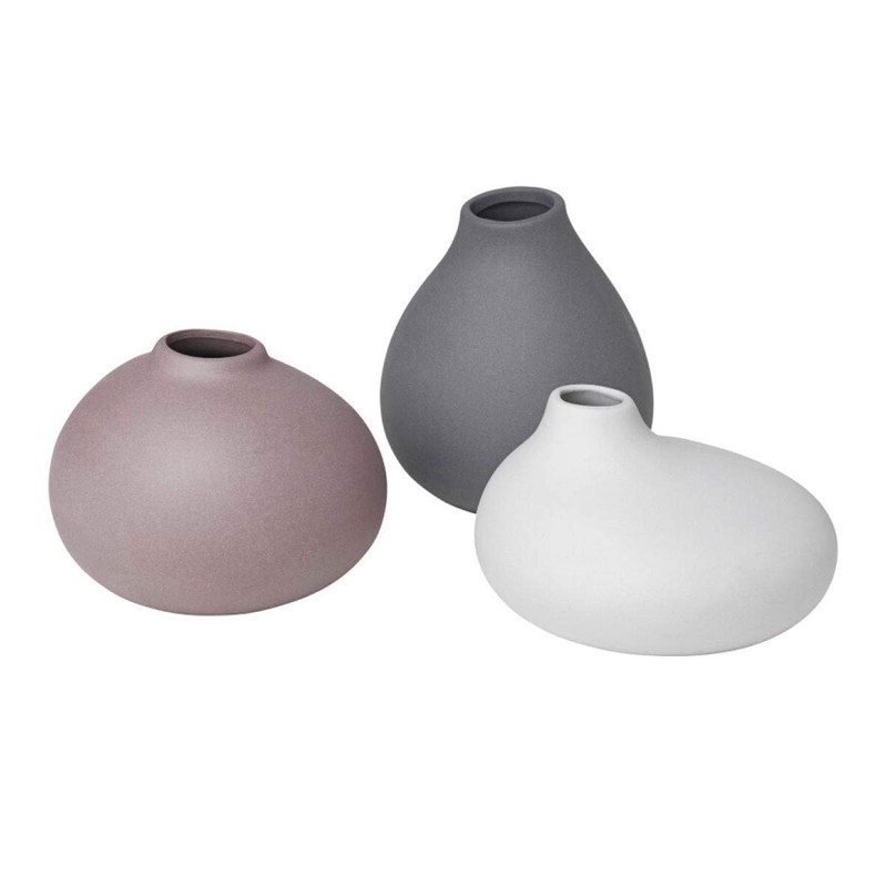 Blomus Vase-65971 Vase, Micro Chip, One Size