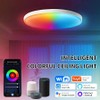 Smart LED Ceiling Light 30W, RGB + Adjustable White 2700K-6500K,
