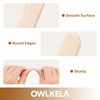 OWLKELA 100PCS Mini 2.5inch Lolly Sticks, Wooden Lollipop Sticks, Craft