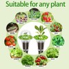 67-Piece Hydroponic Seed Pod Kit for Indoor Gardening
