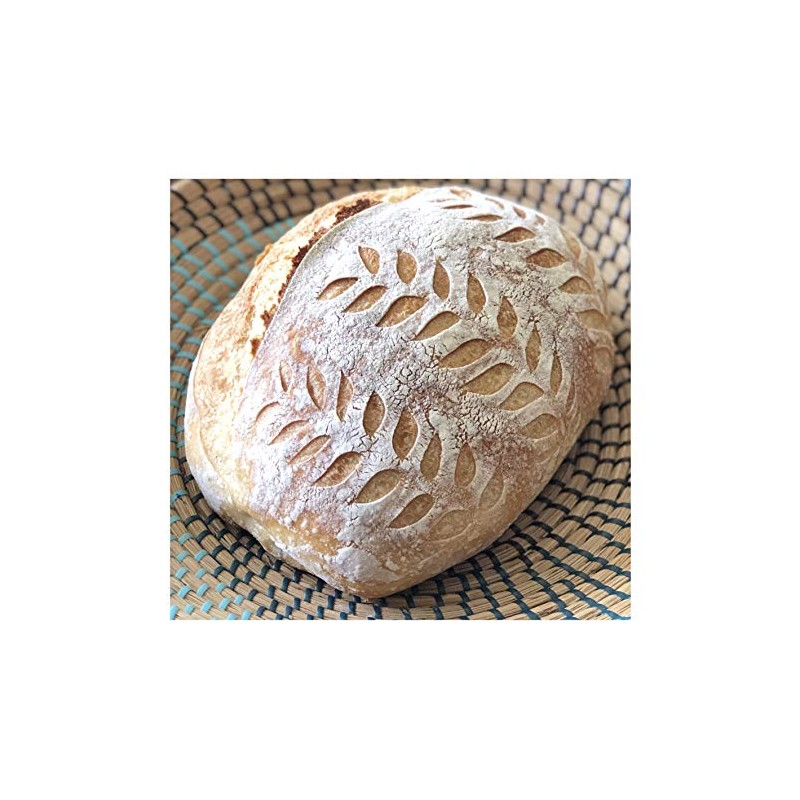 Italian Camaldoli Sourdough Starter Culture