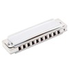 East top Blues Harmonica Key of A, 10 Holes Diatonic
