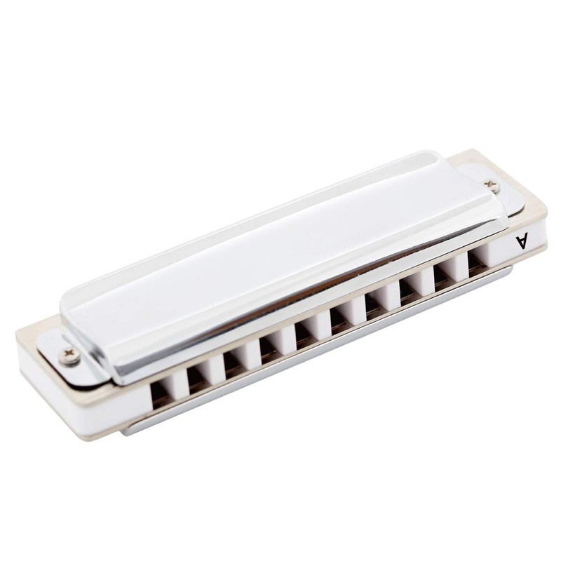 East top Blues Harmonica Key of A, 10 Holes Diatonic