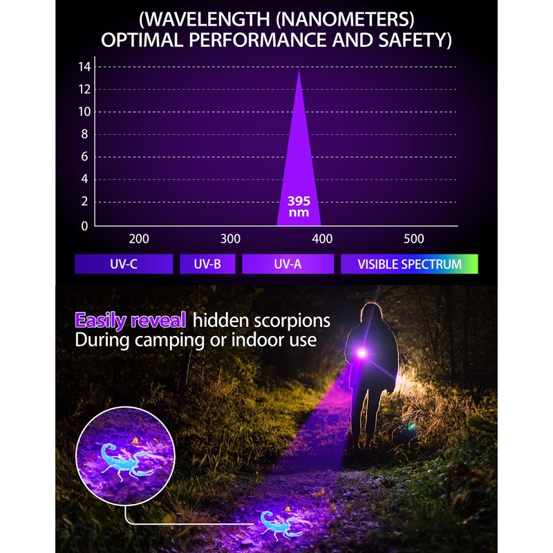 Black Light Flashlight, UV Light USB C Rechargeable with LCD