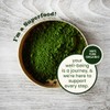 VEDAPURE Natural & Pure Moringa Leaf Powder