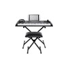 ALESIS HARMONY61MKII ALESIS 61 Key Keyboard with 300 Sounds