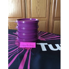 TUPPERWARE LITTLE WONDERS SET OF 4 RHUBARB/PURPLE NEW BPA FREE SHIP