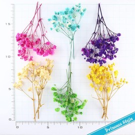 Princess-style Dried Flower Accessory Parts for Hand Made Small Flowers 6 Colors/Set
