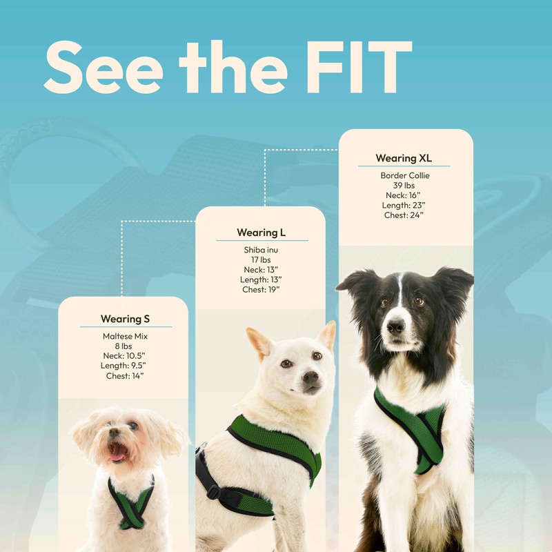 Gooby Comfort X Harness Dual Snap Mesh, Forest, X-Large