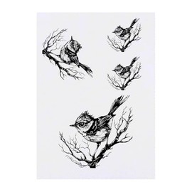 4 x 'Wren Bird on Branch' Temporary Tattoos - Water Resistant, Skin-Safe, Non-Toxic Transfers, Mixed Sizes (TO00074552)