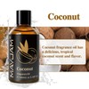 MAYJAM 100ML/3.38FL.OZ Coconut Fragrance Oils with Glass Dropper, Essential Oils