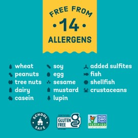 Enjoy Life Enjoy Life Baking Dark Chocolate Morsels, Dairy Free , Soy Free, Nut Free, Non GMO, Gluten Free, Vegan Chocolate Chips, 9 oz bag