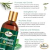 Difeel Elevated Rosemary Mint Shampoo with Biotin 12 oz. -