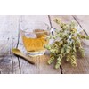 Lowhill Valley Ironwort Greek Mountain Tea - Sideritis scardica Herbal