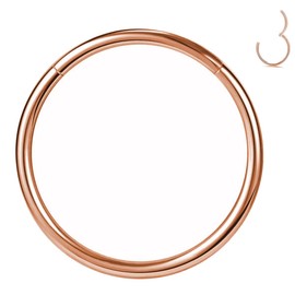 PIERCINGFUN Women Men G23 Titanium Hinged Piercing Nose Rings Hoop 20G 10mm for Nostril Septum Cartilage Helix Daith Tragus Rook Conch Lip Ear Lobe Belly Eyebrow Piercings, 0.8*10mm, Titanium, no