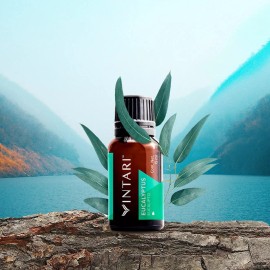 Vintari Essential Oil 0.5 Fl Oz (Eucalyptus) 100% Pure, Undiluted, Natural Aroma