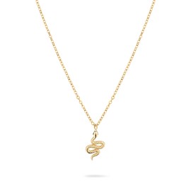 Apple of Eden Necklace AJ-0013-N-46, Stainless Steel, none