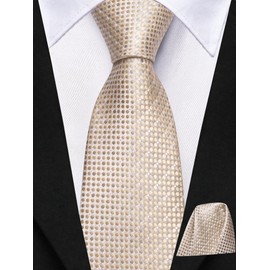 Hi-Tie Champagne Self-Tied Kids Tie for Boy 10-12 Silk Boys Tie 8-10 Year Youth Necktie and Pocket Square Set for Wedding