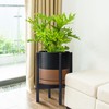 D'vine Dev Ceramic Planter with Ebony Stand - 10 Inch