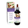 Ashwagandha or Indian Ginseng (Withania somnifera) Roots Alcohol-Free Mother Tincture