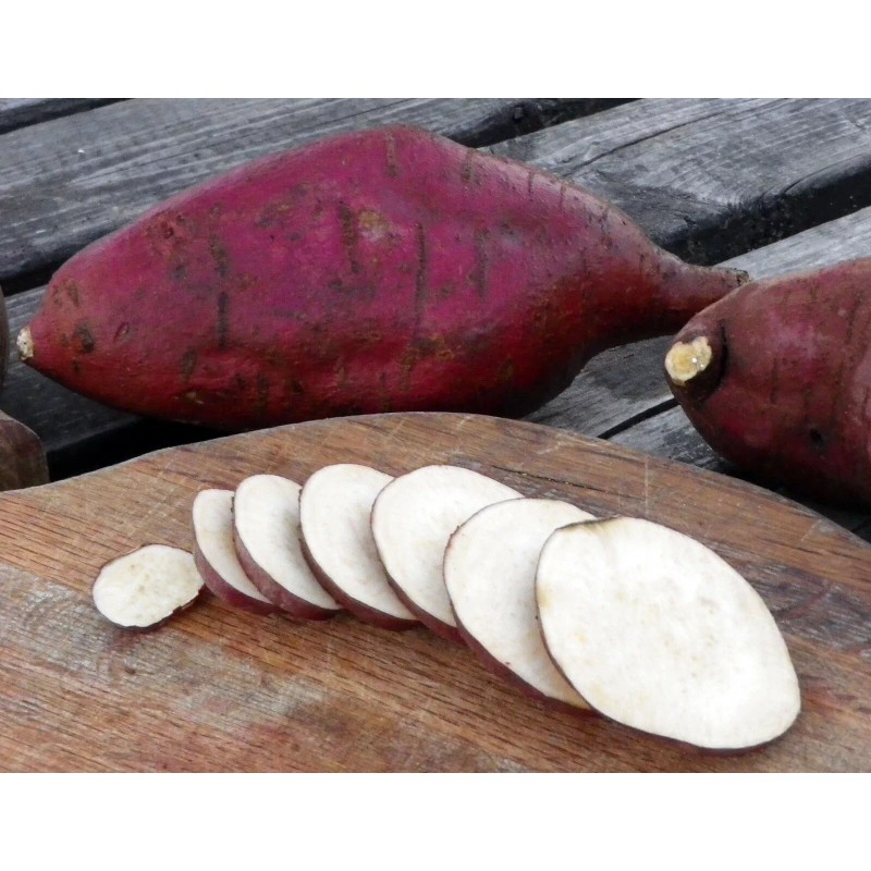 White Fresh Japanese Sweet Potatoes 4lbs