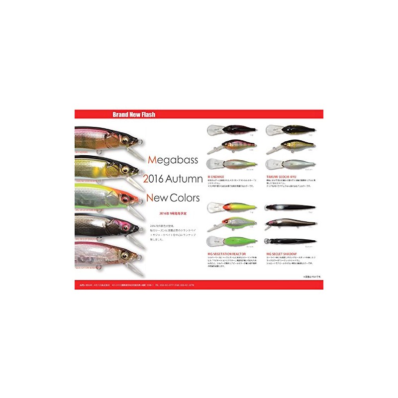 Megabass 36051 X-80 Trick Darter Lure, Takumi Seochiayu
