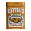 Big Sky Citrus Delights - Candy Pastilles - Citrus Candy Bulk Pack of 12 - Helps Eliminate Bad Breath and Dry Mouth - 1.07 Oz (Seville Orange)