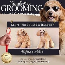 Dog Slicker Brush - Protective Ball Tipped Pins Massages Pet Skin - Professional Groomer Slicker Brush for Long Haired Dog and Cat