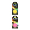 Trendy Pets Glow in The Dark Fetch Ball Dog Toy,