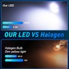 GLOFE T10 194 168 Dash Instrument White LED Light Bulbs