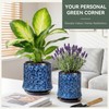 TOSELBAI 11 Inch Ceramic Planter Pot with Saucer Drainage Leak-Proof