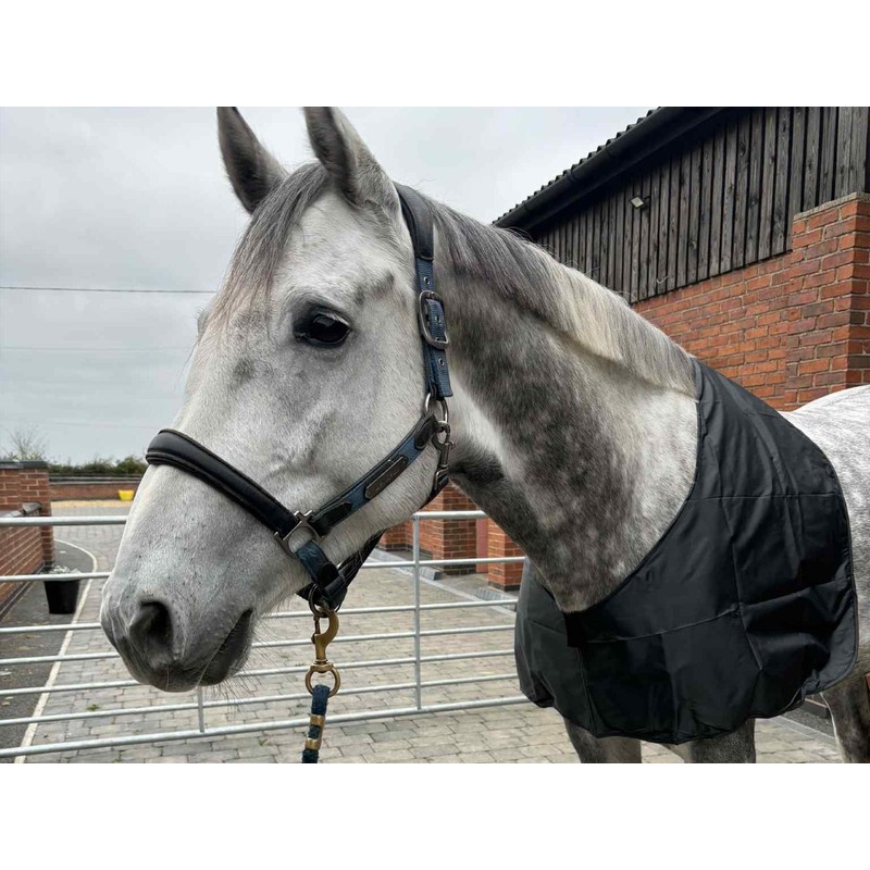 Ruggles Satin Anti Rub Bib for horses and ponies -