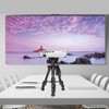CAMBOFOTO 12.5 Inch Travel Tripod 62 cm Lightweight Tripod with