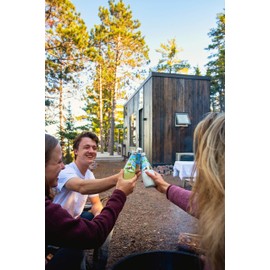 Coconut Milk Drink Original 9.8FL OZ (Pack of 12)