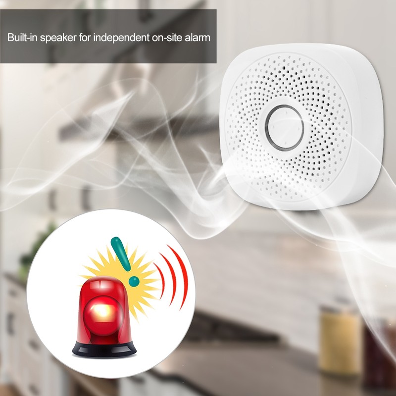 Combustible Gas Leak Detector Built in Speaker Smart Gas Alarm