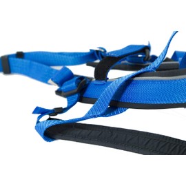 Neewa Adjustable Racing Harness (Small, Blue)