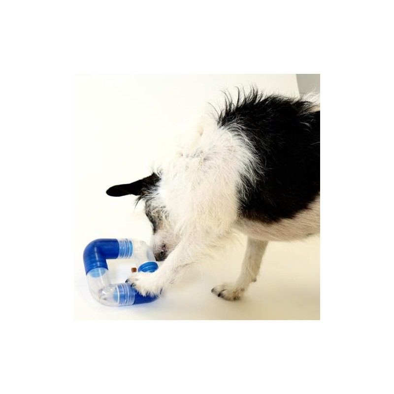 Planet Dog Orbee-Tuff Link - Snackball für Hunde - Hundespielzeug