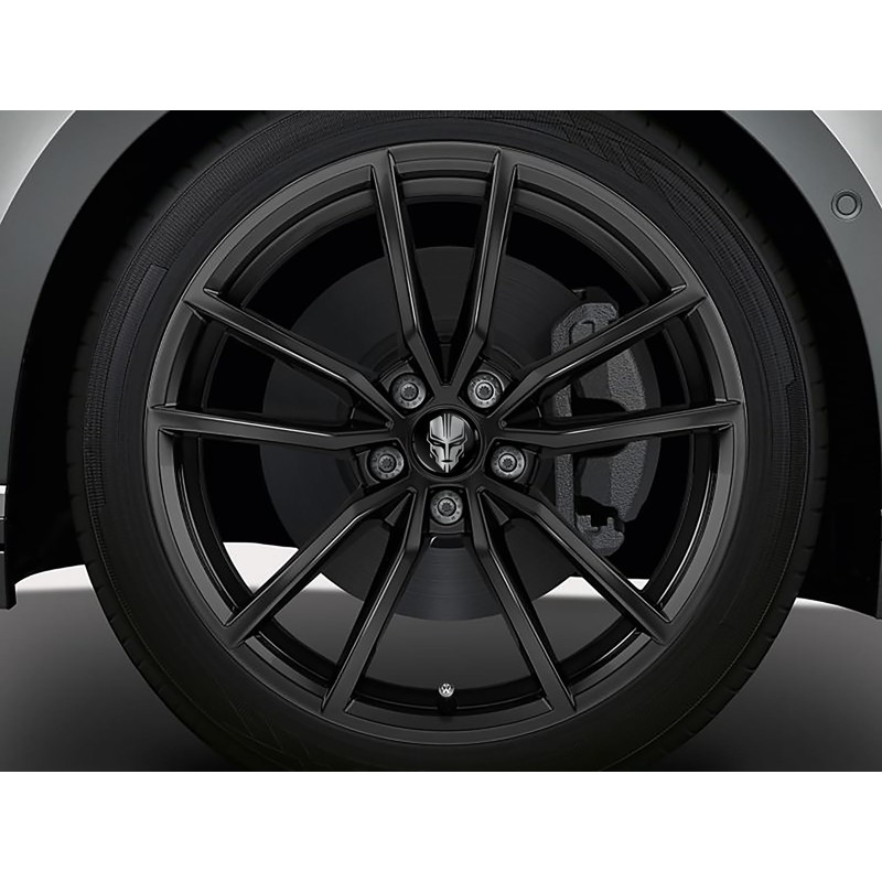 Biomar Labs® 4 x 60 mm Plastic Hub Caps Wheel