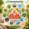 QKTYB Bird Chirping Box Motion Sensor with Light, Natural Sounds
