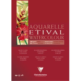 Clairefontaine Etival 96384C Watercolour Pad (Matte, 200 g, Suitable for All Wet Techniques, Spiral Bound, 10 Sheets, DIN A4, 21 x 29.7 cm, Ideal for Beginners, Acid-Free) White