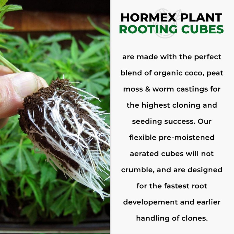 Hormex Rooting Powder #1 & Rooting Cubes Combo - Rooting