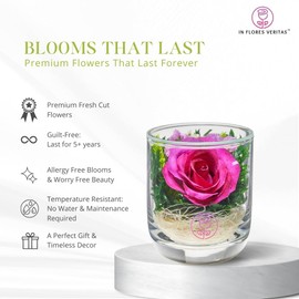 In Flores Veritas | Fresh Cut Preserved Roses in a Sealed Glass Vase | Long Lasting Bouquet Stays Fresh for 5+ Years | No Water Needed | Allergy Free | Unique Present Gift (Single Dark Pink)