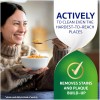 Polident Overnight Whitening Antibacterial Dental Appliance Cleanser
